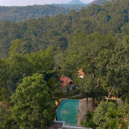 Willow Resorts Ambalavayal Buitenkant foto