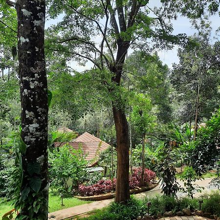 Willow Resorts Ambalavayal Buitenkant foto