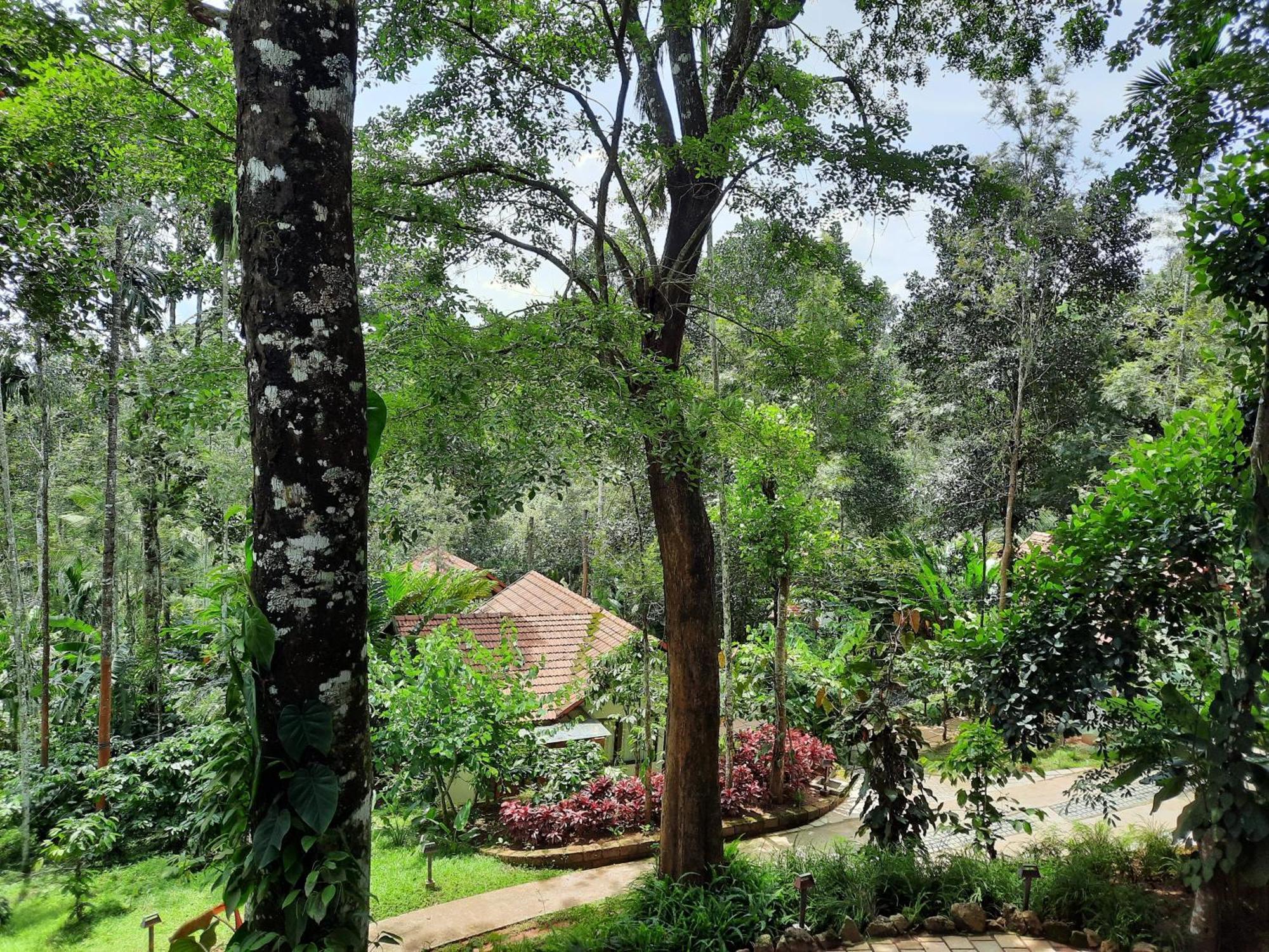 Willow Resorts Ambalavayal Buitenkant foto