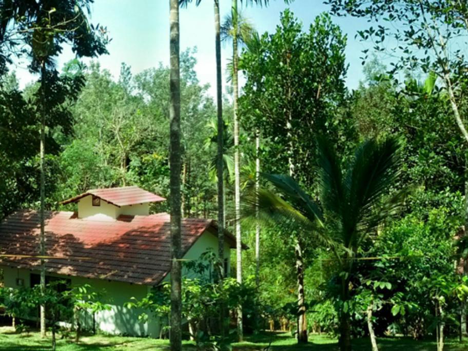 Willow Resorts Ambalavayal Buitenkant foto